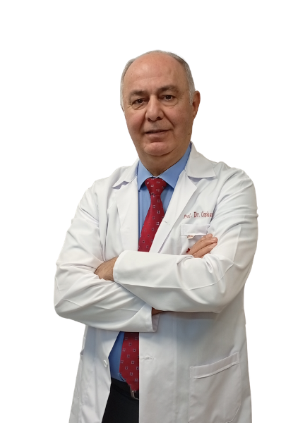 Prof.Dr.Coşkun POLAT