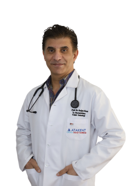 Prof. Dr. Doğan KOCA